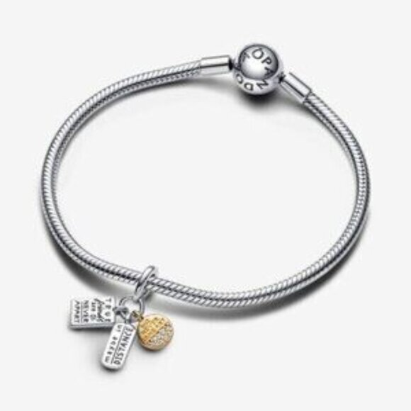 Pandora charms - Picture 3 of 5